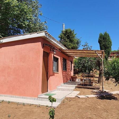 Azienda Agricola Sinisi Cerveteri Kamer foto