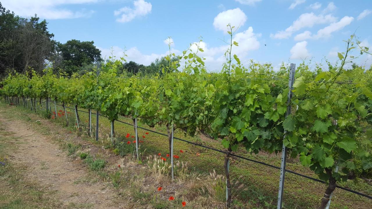 Azienda Agricola Sinisi Cerveteri Buitenkant foto