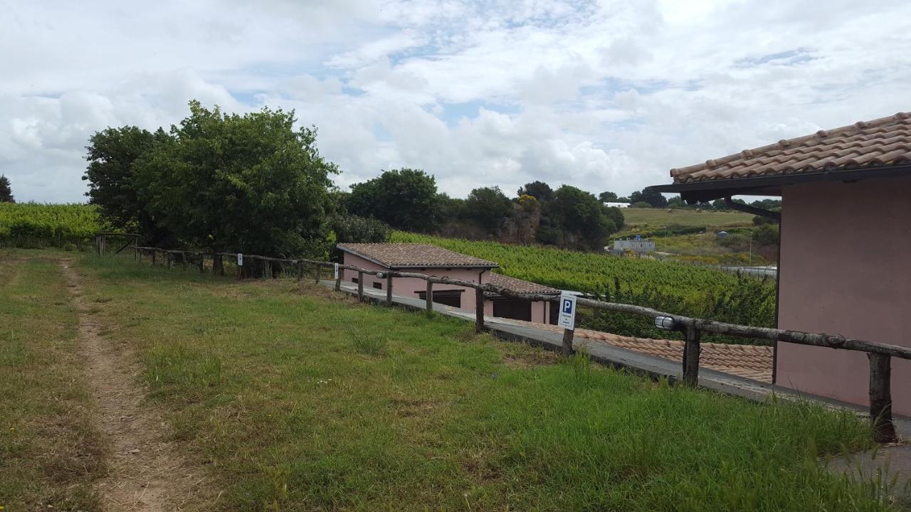 Azienda Agricola Sinisi Cerveteri Buitenkant foto