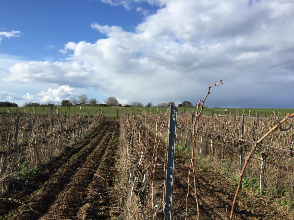 Azienda Agricola Sinisi Cerveteri Buitenkant foto