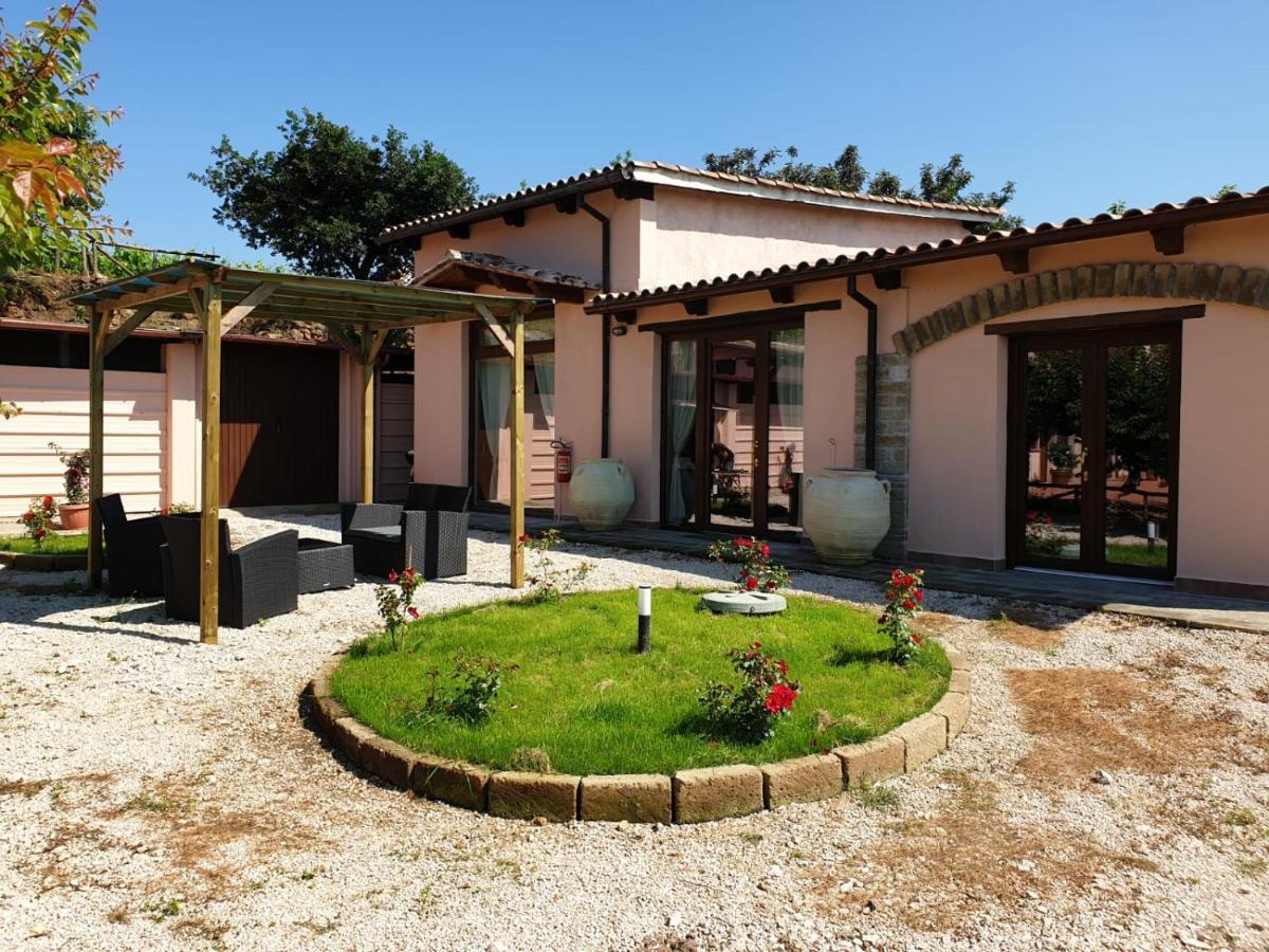 Azienda Agricola Sinisi Cerveteri Buitenkant foto