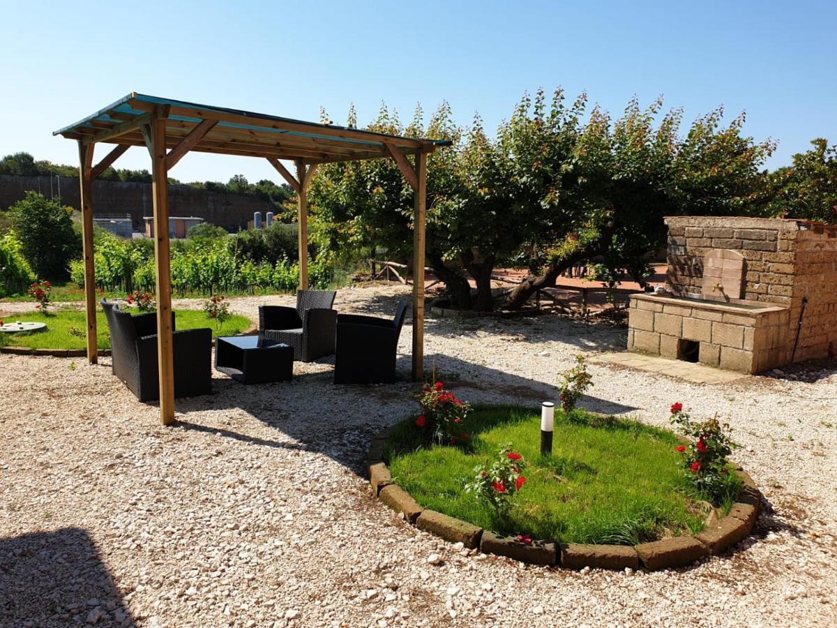 Azienda Agricola Sinisi Cerveteri Buitenkant foto