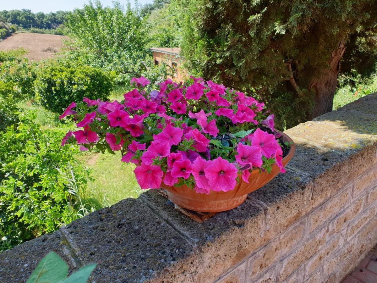 Azienda Agricola Sinisi Cerveteri Buitenkant foto