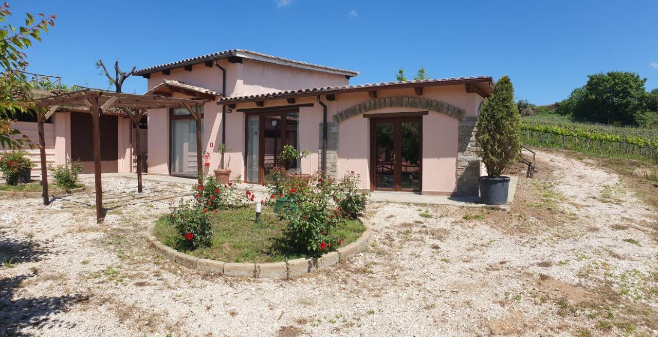 Azienda Agricola Sinisi Cerveteri Buitenkant foto