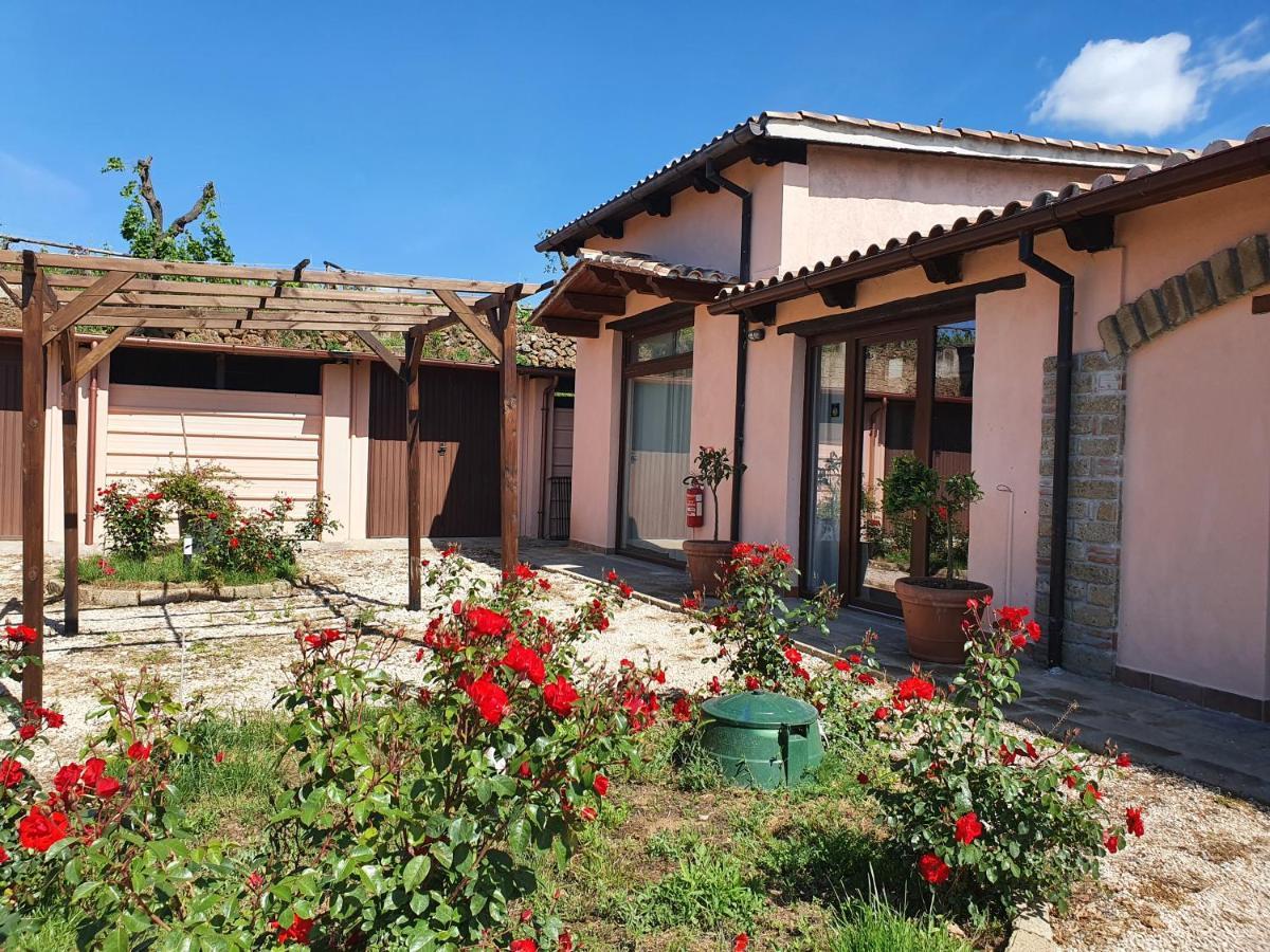 Azienda Agricola Sinisi Cerveteri Buitenkant foto
