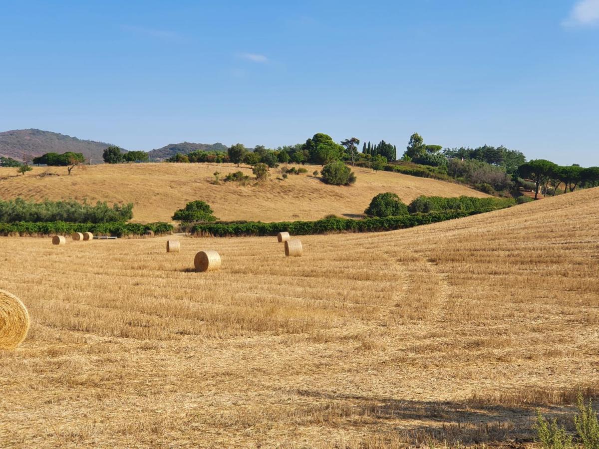 Azienda Agricola Sinisi Cerveteri Buitenkant foto